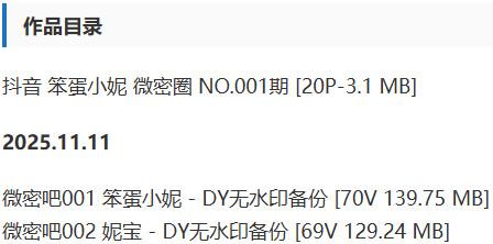 笨蛋小妮 – 微密圈写真&视频合集【持续更新中】-2